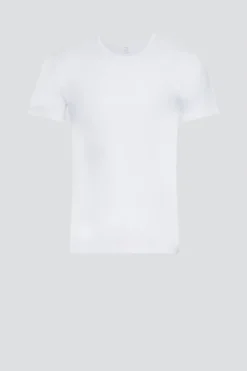 Shirt kurzarm